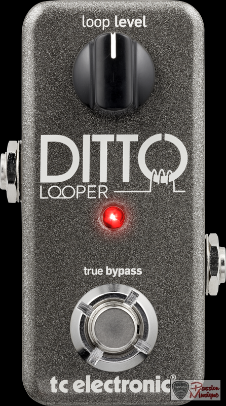 PASSION MUSIQUE - TC Electronic Ditto Looper