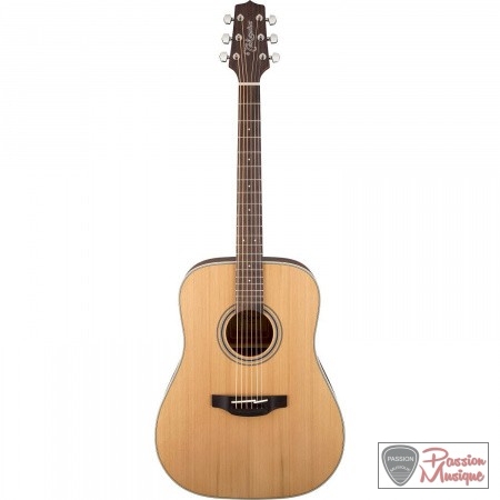 PASSION MUSIQUE - Takamine G Series GD20-NS