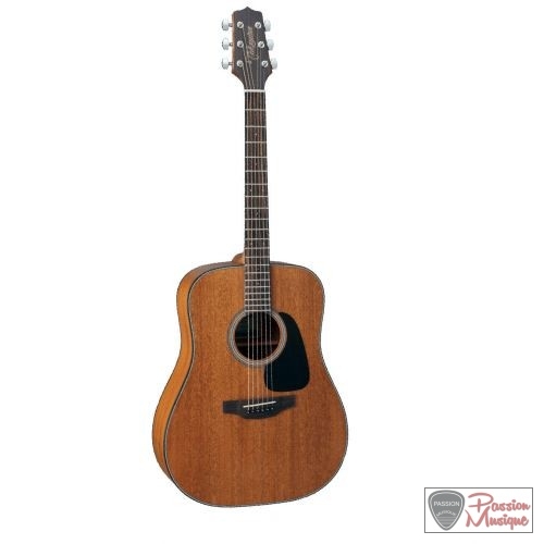 PASSION MUSIQUE - Takamine G Series GD11M-NS