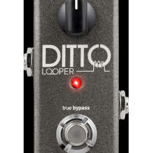 TC Electronic Ditto ...